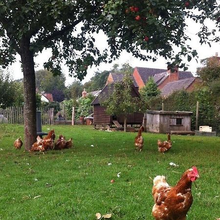 Cider Cottages เบอร์ลี ภายนอก รูปภาพ