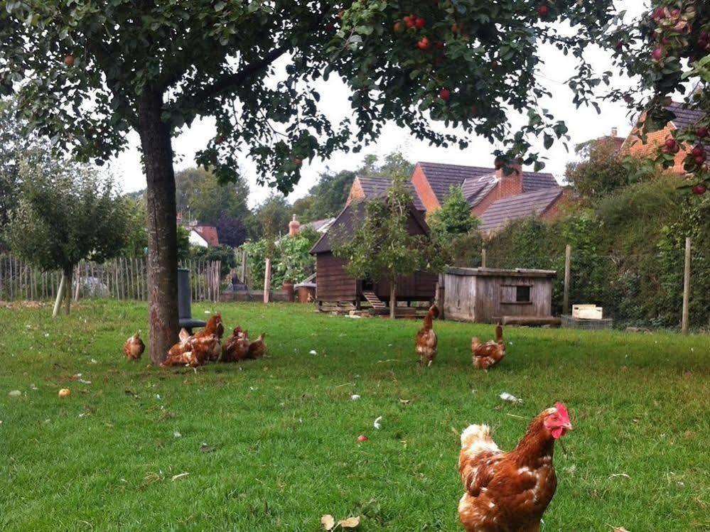 Cider Cottages เบอร์ลี ภายนอก รูปภาพ